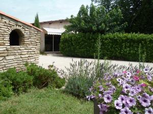 Jardin de l'établissement Le gite de lOlivier en Provence