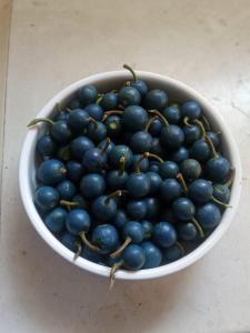 a bowl of blue grapes sitting on a table at Riverston Hub in Rattota