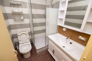 a bathroom with a toilet and a shower and a sink at south of Bayangol Hotel, 1 bedroom apartment 25-58 in Ulaanbaatar