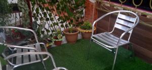 2 chaises et des plantes en pot sur une terrasse dans l'établissement AlojaRous2, à Tingo María