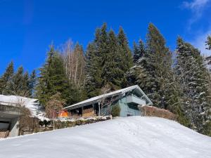 uma casa no topo de uma colina coberta de neve em Bregenzerwald holiday home em Egg