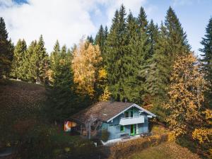 a small house in the middle of a forest at Bregenzerwald holiday home in Egg