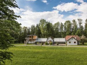 una casa en medio de un campo verde en Gut Hornegg am Spiegelsee - Good Luise en Preding