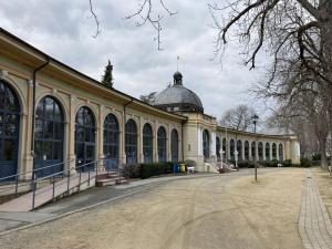 a large building with a dome on top of it at Summit happiness at the purple beech in Bad Harzburg