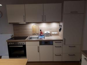 Dapur atau dapur kecil di Holiday apartment Maurer Apartment Laber