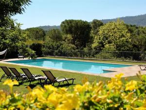 a swimming pool with lounge chairs in the grass at Flat Riu d'Agost with garden terrace in La Torre de Claramunt