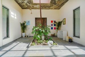 a room with a courtyard with a plant in it at SaffronStays Moringa Wishing Tree in Udaipur