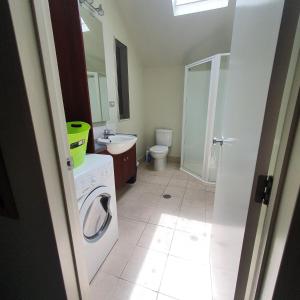 uma casa de banho com uma máquina de lavar roupa e um lavatório em Kuituna on the Canal Villa, 3 bedrooms em Rotorua