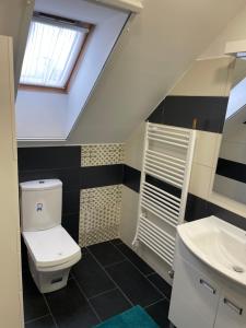 La salle de bains est pourvue de toilettes et d'un lavabo. dans l'établissement Szögedi Villa, à Bytom