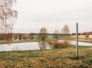 a body of water with a pole in the grass at Auszeit am Land in Kemnath