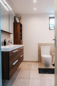 a bathroom with a toilet and a sink at Auszeit am Land in Kemnath