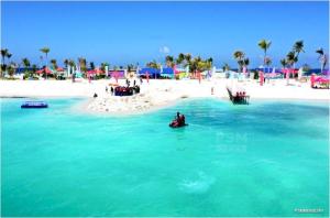 a group of people in the water at a beach at Ontrack Travel in Male City