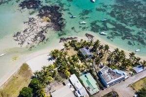 - une vue aérienne sur une plage avec des palmiers et de l'eau dans l'établissement Quaint Beach Villa in a fishing village, à Grand Gaube