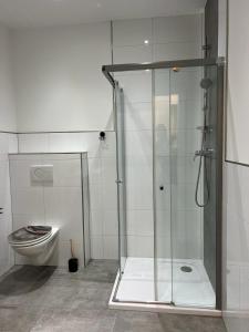 a glass shower in a bathroom with a toilet at Murtal Appartement Größingblick Top 2 in Zeltweg