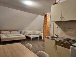 a kitchen and living room with two beds in a room at Guest House Lisina in Poljanak
