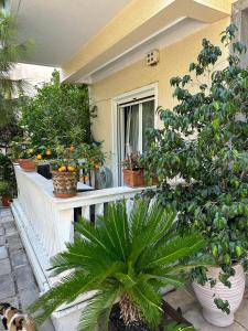 a porch with potted plants on a house at ANGEL , Luxury 2BD apartment next to the Beach in Athens