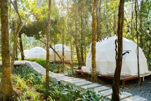 Zahrada ubytování Rung Thong Nui Voi Villa & Resort