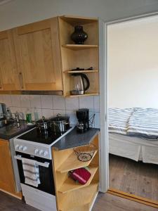a kitchen with a stove and a sink and a bed at skyline flat with free parking in Lorenskog