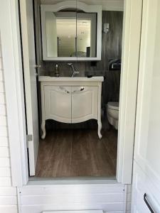 a bathroom with a sink and a toilet at Tinyhouse Friesland 