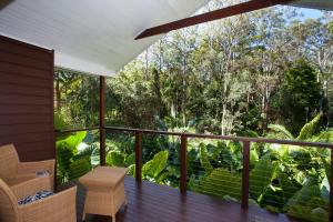 Songbirds Rainforest Retreat的阳台或露台