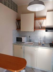 a kitchen with a sink and a microwave at Solanha molocale 01 in Cavo