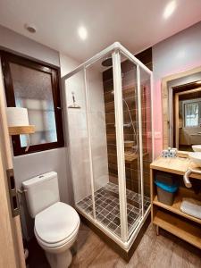 a bathroom with a shower and a toilet and a sink at Au Chalet d'Aline - Atypique pour 4 personnes in Gérardmer