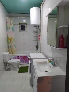 KyzylemgekにあるHostel Jusupのバスルーム(洗面台、トイレ、鏡付)