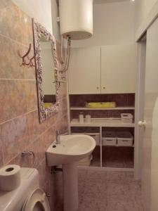 伯德古拉的住宿－Studio apartman，一间带水槽、卫生间和镜子的浴室