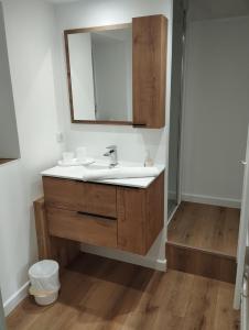 La salle de bains est pourvue d'un lavabo et d'un miroir. dans l'établissement Le Cocon - 3 étoiles, à Annecy