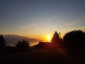 布洛奈Au1807的山上房子的日落