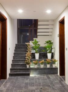 a group of potted plants sitting on the stairs at Sonaga Beach Resort & Villas Phu Quoc in Phú Quốc