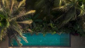 Gallery image of Sohonos 2 · Luxurious 3BHK with Private Pool in Goa