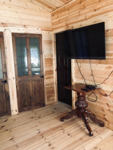 una camera con TV su una parete in legno di Zacisze 6 osobowy Domek nad jeziorem a Świętne