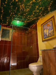 La salle de bains est pourvue de toilettes et d'un plafond éclairé. dans l'établissement Canta La Rana, à Quito
