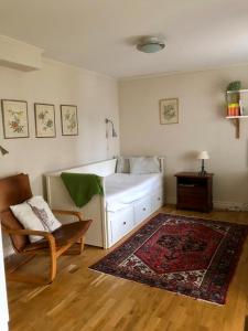 1 dormitorio con 1 cama, 1 silla y 1 alfombra en Dahmskahuset, en Kalmar