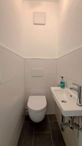 małą łazienkę z toaletą i umywalką w obiekcie Ferienwohnung Angerer w mieście Bad Mitterndorf