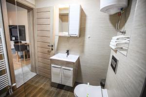 a bathroom with a sink and a toilet and a mirror at Apartments and rooms Max-Well in Jahorina