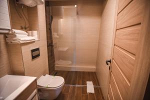 a small bathroom with a toilet and a shower at Apartments and rooms Max-Well in Jahorina