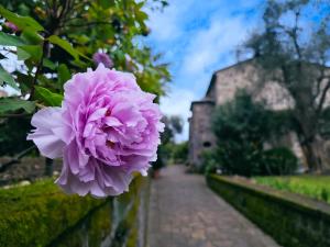 uma flor rosa sobre uma cerca com um edifício ao fundo em La Neffola Residence em Sorrento