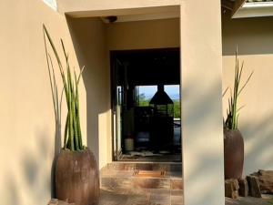 dos jarrones con plantas en ellos sentados en una pared en Tranquility-Ukuthula Guesthouse en Winterton