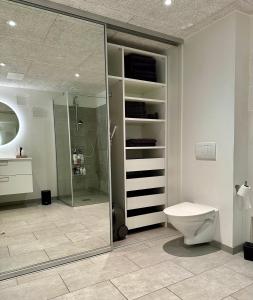 a bathroom with a shower stall and a toilet at Luxury New Cozy and Quietly 95m2 in Tórshavn