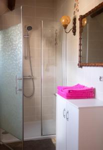 un bagno con doccia e asciugamani rosa su un bancone di La Noisetiere a Noyers-sur-Cher