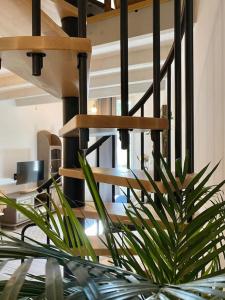 um vaso de planta em frente a uma escada em espiral em Villa Maya - 4 Amellau - AVIGNON - CLIM - WIFI em Avignon