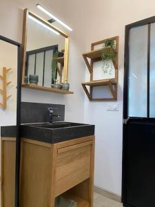 La salle de bains est pourvue d'un lavabo et d'un miroir. dans l'établissement Villa Maya - 4 Amellau - AVIGNON - CLIM - WIFI, à Avignon