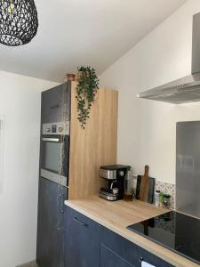 - une cuisine avec des armoires bleues et un réfrigérateur noir dans l'établissement Villa Maya - 4 Amellau - AVIGNON - CLIM - WIFI, à Avignon