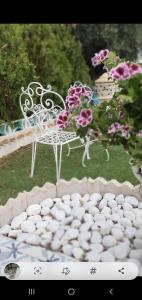 a white chair sitting in a yard with flowers at Finca amor y sueño isa in Rafal