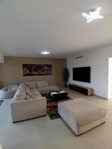 sala de estar con sofá y TV de pantalla plana en Villa sophora, en Gignac-la-Nerthe