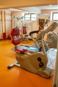 a gym with cardio equipment in a room at Resort Bali Spa in Cornu de Jos