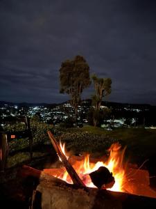 Fotografie z fotogalerie ubytování Phoenix View Stay Ooty v destinaci Ooty