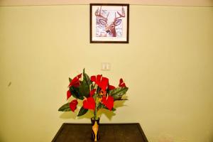 Fotografie z fotogalerie ubytování Phoenix View Stay Ooty v destinaci Ooty